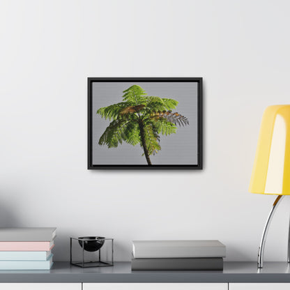 Rainforest Trails & Views - Gallery Canvas Wraps, Horizontal Frame - El Yunque National Forest - Puerto Rico - One of the worlds original trees - the Fern Palm - Green Forest Home