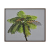 Rainforest Trails & Views - Gallery Canvas Wraps, Horizontal Frame - El Yunque National Forest - Puerto Rico - One of the worlds original trees - the Fern Palm - Green Forest Home