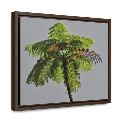 Rainforest Trails & Views - Gallery Canvas Wraps, Horizontal Frame - El Yunque National Forest - Puerto Rico - One of the worlds original trees - the Fern Palm - Green Forest Home