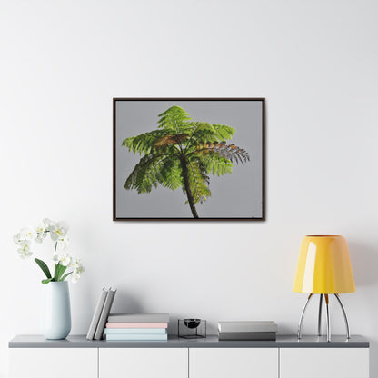 Rainforest Trails & Views - Gallery Canvas Wraps, Horizontal Frame - El Yunque National Forest - Puerto Rico - One of the worlds original trees - the Fern Palm - Green Forest Home