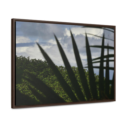 Rainforest Trails & Views - Gallery Canvas Wraps, Horizontal Frame - El Yunque National Forest - Puerto Rico - Outlines of a Sierra Palm branch & Leafs with mountain in background - Green Forest Home