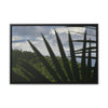 Rainforest Trails & Views - Gallery Canvas Wraps, Horizontal Frame - El Yunque National Forest - Puerto Rico - Outlines of a Sierra Palm branch & Leafs with mountain in background - Green Forest Home
