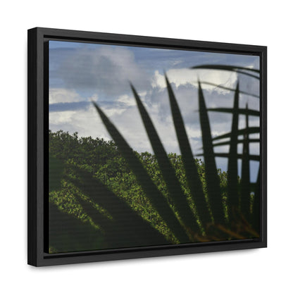 Rainforest Trails & Views - Gallery Canvas Wraps, Horizontal Frame - El Yunque National Forest - Puerto Rico - Outlines of a Sierra Palm branch & Leafs with mountain in background - Green Forest Home
