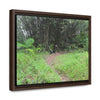 Rainforest Trails & Views - Gallery Canvas Wraps, Horizontal Frame - El Yunque National Forest - Puerto Rico - Path in camping zone near peaks - Green Forest Home