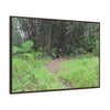 Rainforest Trails & Views - Gallery Canvas Wraps, Horizontal Frame - El Yunque National Forest - Puerto Rico - Path in camping zone near peaks - Green Forest Home