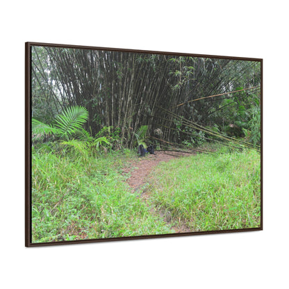 Rainforest Trails & Views - Gallery Canvas Wraps, Horizontal Frame - El Yunque National Forest - Puerto Rico - Path in camping zone near peaks - Green Forest Home