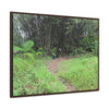 Rainforest Trails & Views - Gallery Canvas Wraps, Horizontal Frame - El Yunque National Forest - Puerto Rico - Path in camping zone near peaks - Green Forest Home