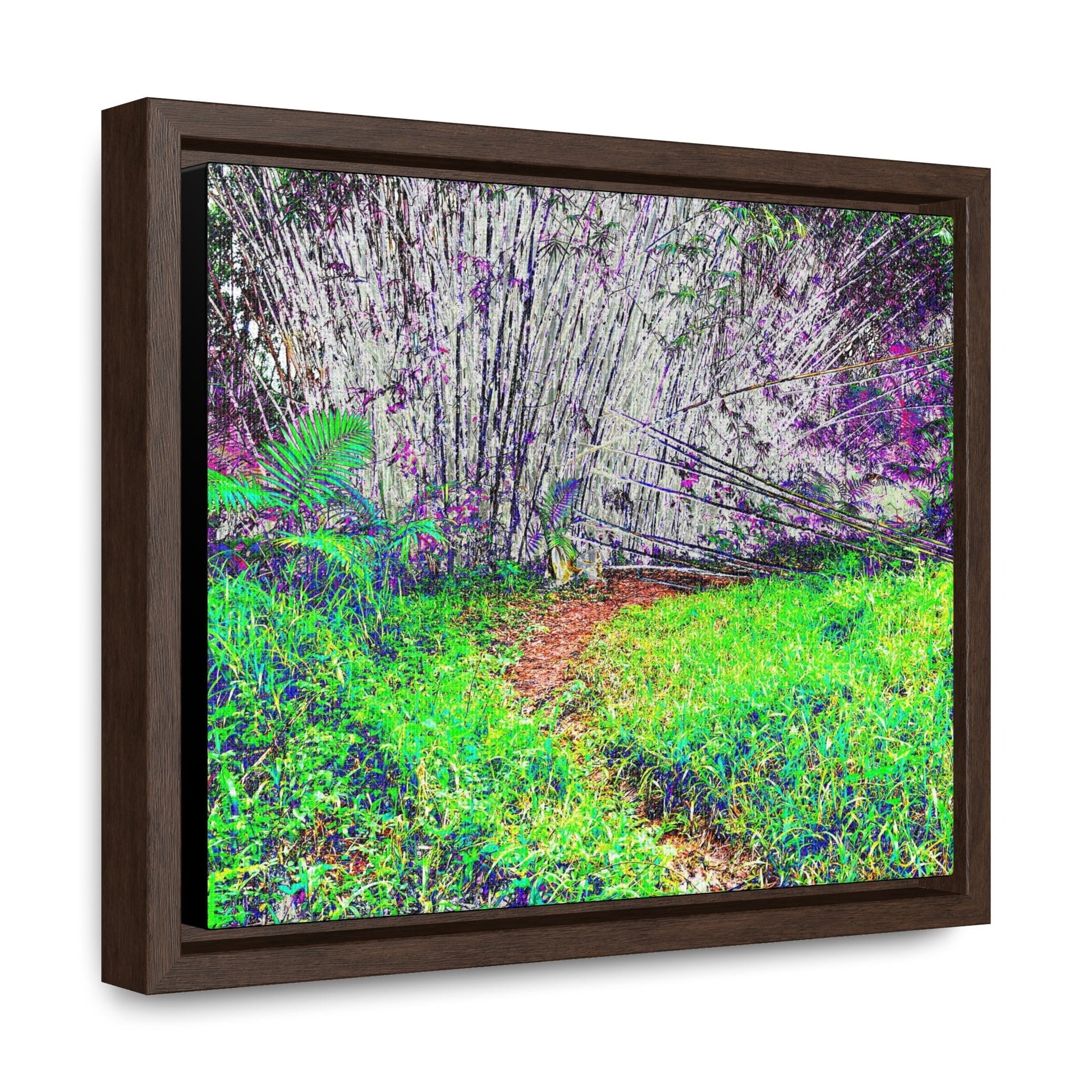 Rainforest Trails & Views - Gallery Canvas Wraps, Horizontal Frame - El Yunque National Forest - Puerto Rico - Path in camping zone near peaks - Color Enhanced - Green Forest Home
