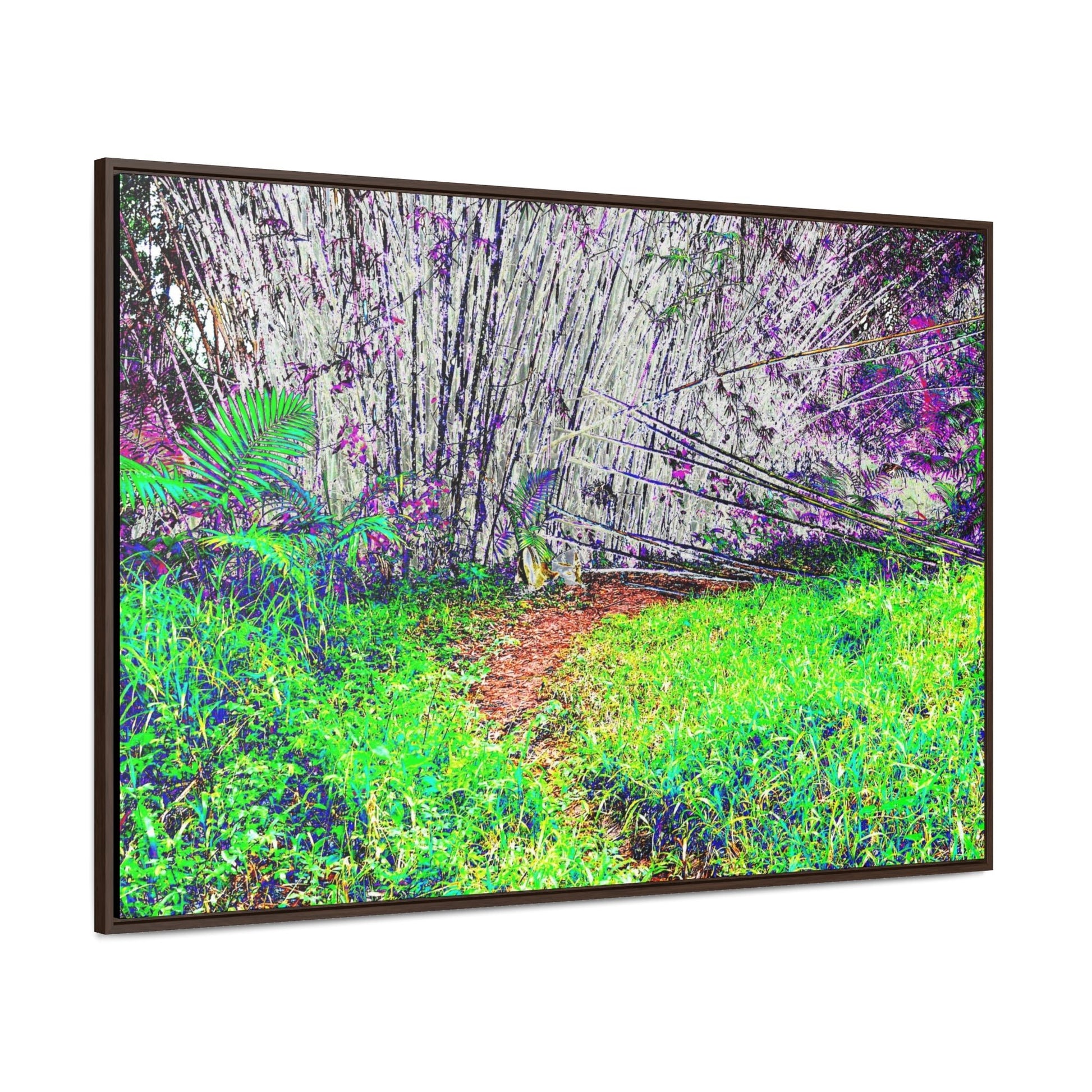 Rainforest Trails & Views - Gallery Canvas Wraps, Horizontal Frame - El Yunque National Forest - Puerto Rico - Path in camping zone near peaks - Color Enhanced - Green Forest Home