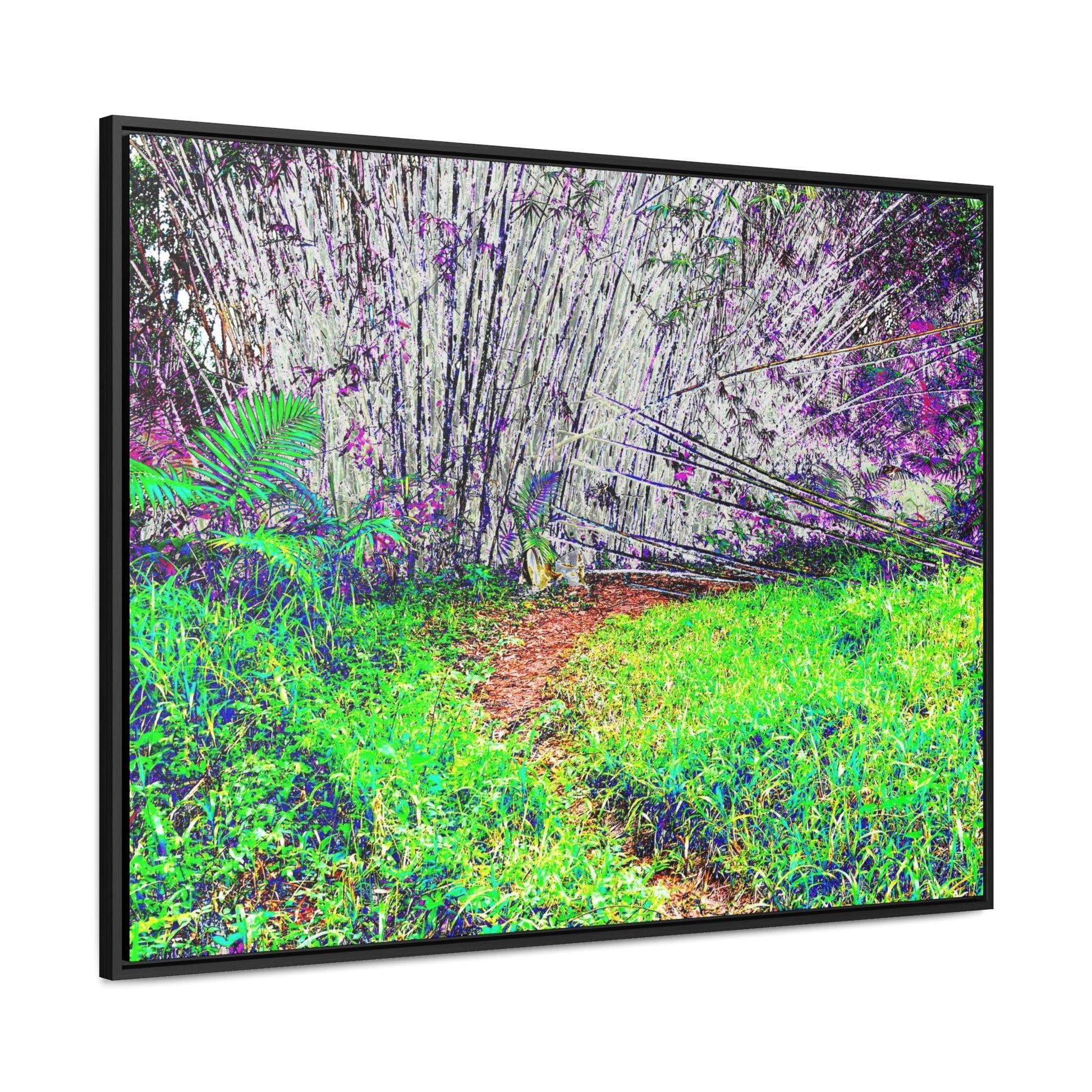 Rainforest Trails & Views - Gallery Canvas Wraps, Horizontal Frame - El Yunque National Forest - Puerto Rico - Path in camping zone near peaks - Color Enhanced - Green Forest Home