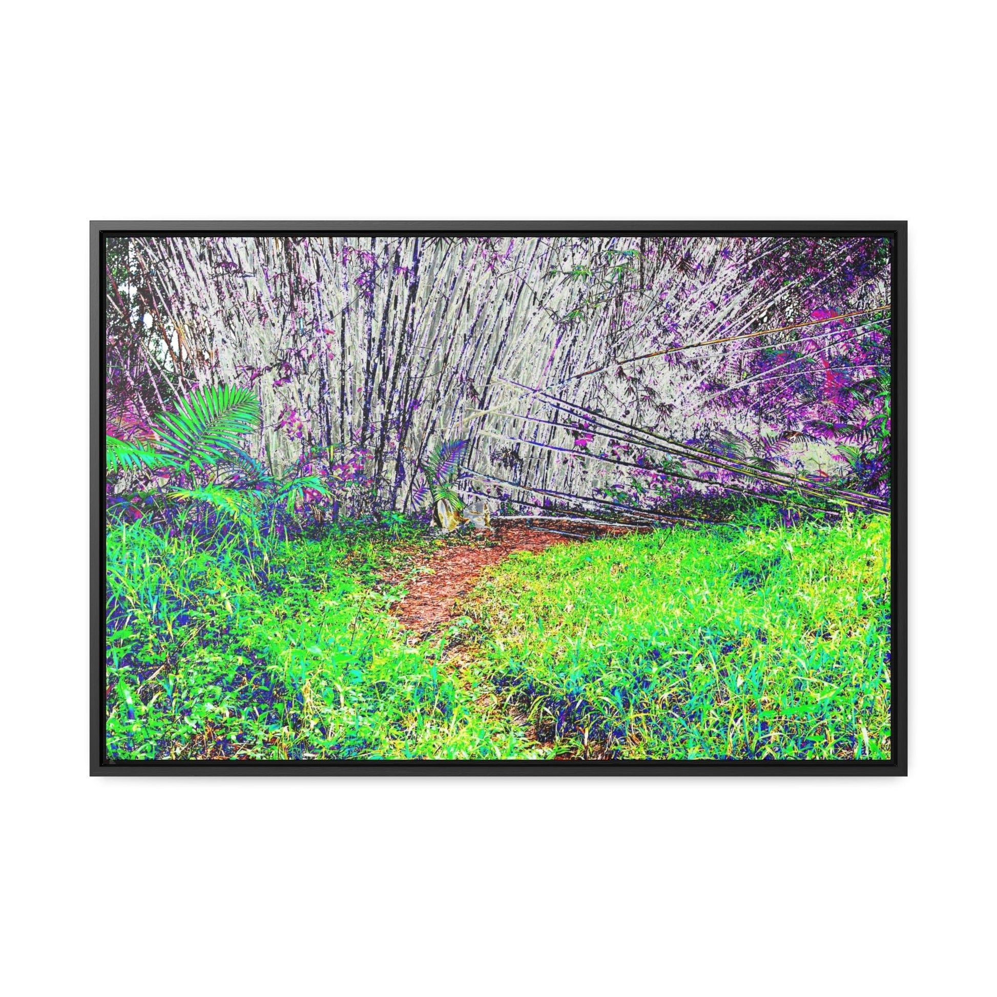Rainforest Trails & Views - Gallery Canvas Wraps, Horizontal Frame - El Yunque National Forest - Puerto Rico - Path in camping zone near peaks - Color Enhanced - Green Forest Home