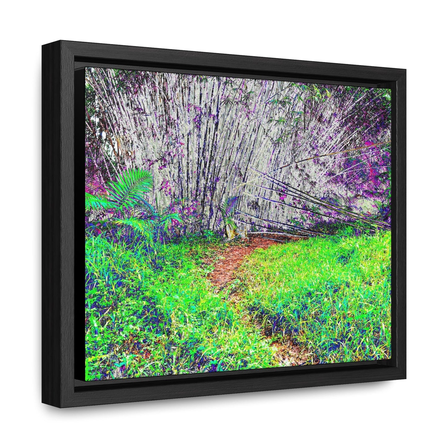 Rainforest Trails & Views - Gallery Canvas Wraps, Horizontal Frame - El Yunque National Forest - Puerto Rico - Path in camping zone near peaks - Color Enhanced - Green Forest Home