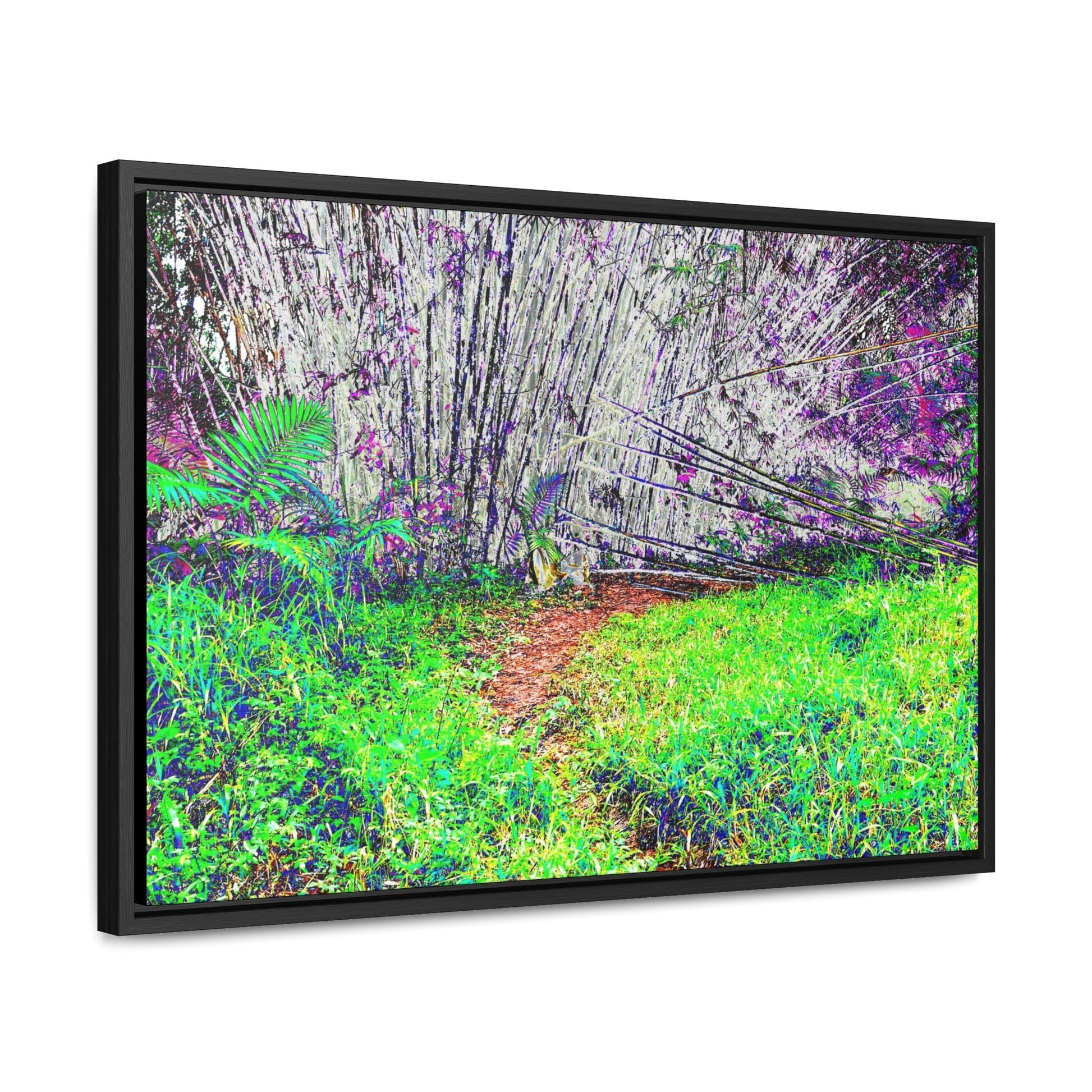 Rainforest Trails & Views - Gallery Canvas Wraps, Horizontal Frame - El Yunque National Forest - Puerto Rico - Path in camping zone near peaks - Color Enhanced - Green Forest Home