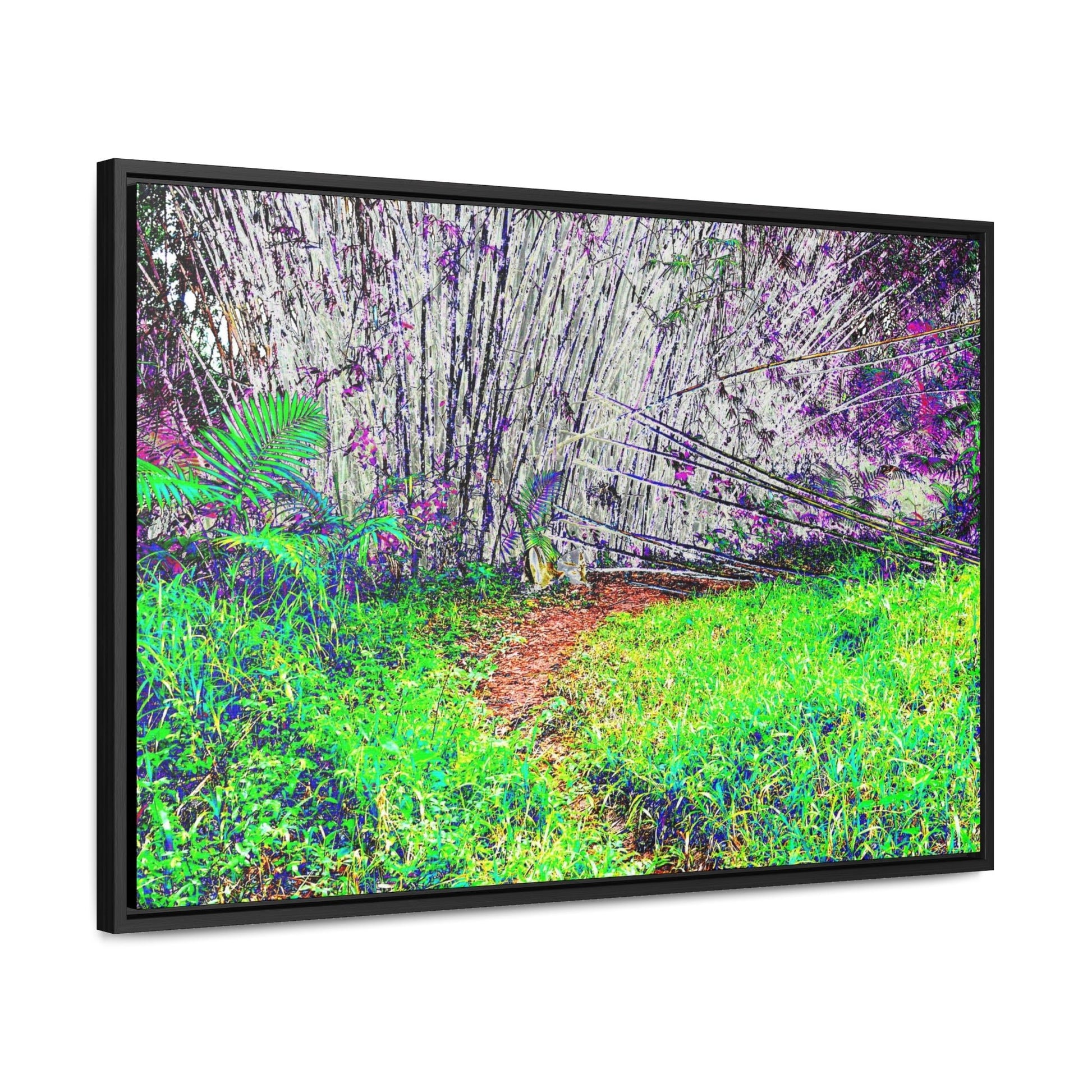 Rainforest Trails & Views - Gallery Canvas Wraps, Horizontal Frame - El Yunque National Forest - Puerto Rico - Path in camping zone near peaks - Color Enhanced - Green Forest Home