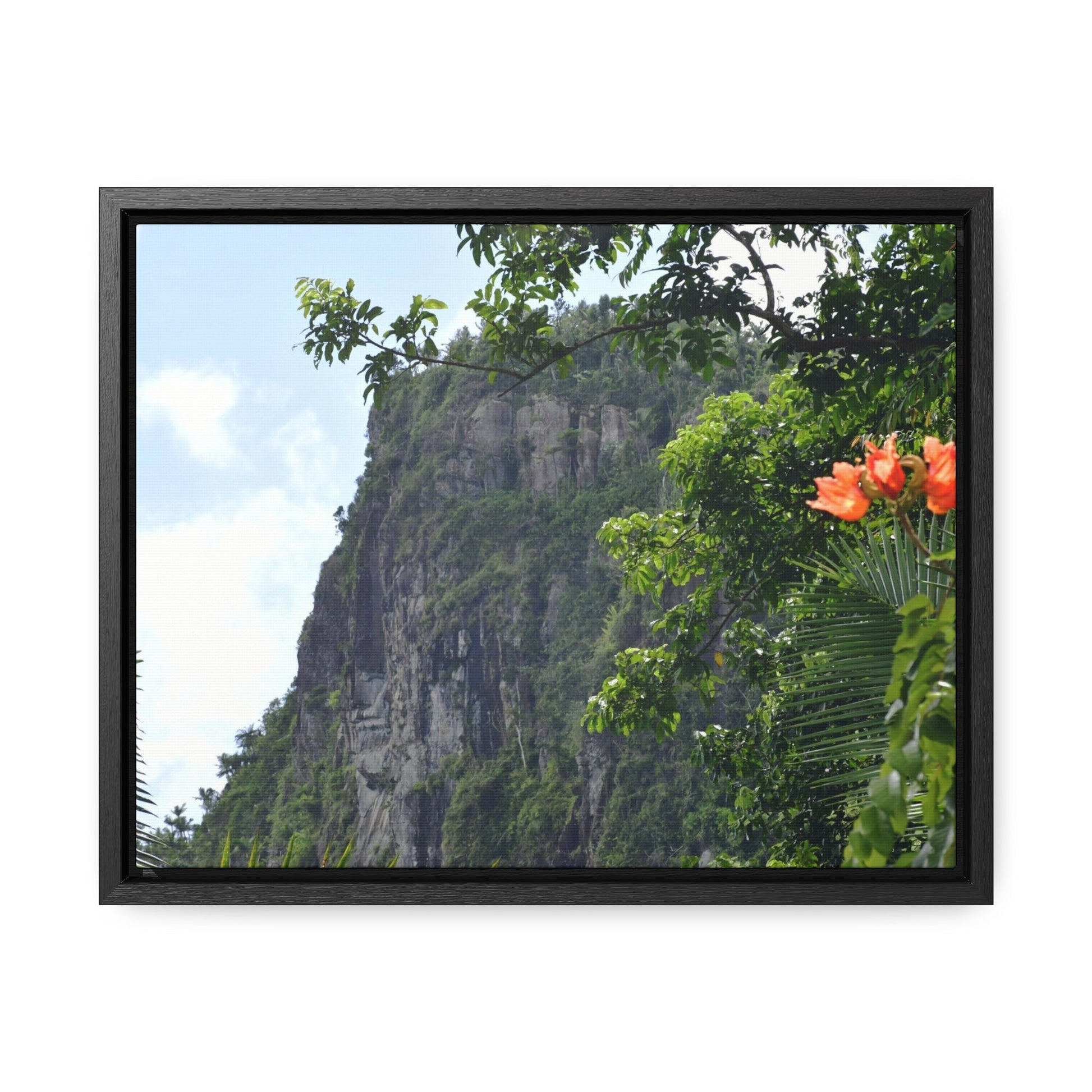Rainforest Trails & Views - Gallery Canvas Wraps, Horizontal Frame - El Yunque National Forest - Puerto Rico - Peak blasted by Hurricane Maria in recovery - Green Forest Home