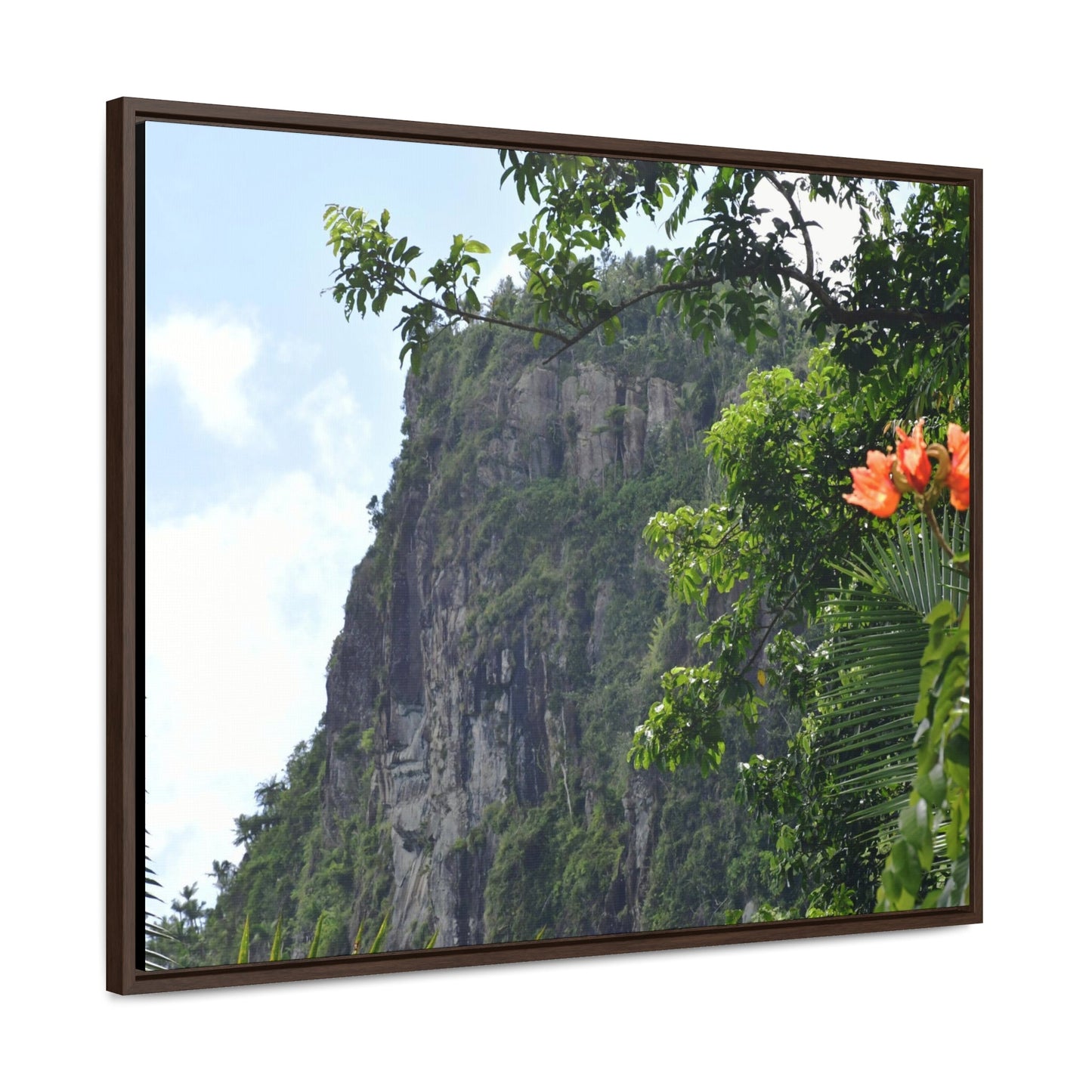 Rainforest Trails & Views - Gallery Canvas Wraps, Horizontal Frame - El Yunque National Forest - Puerto Rico - Peak blasted by Hurricane Maria in recovery - Green Forest Home