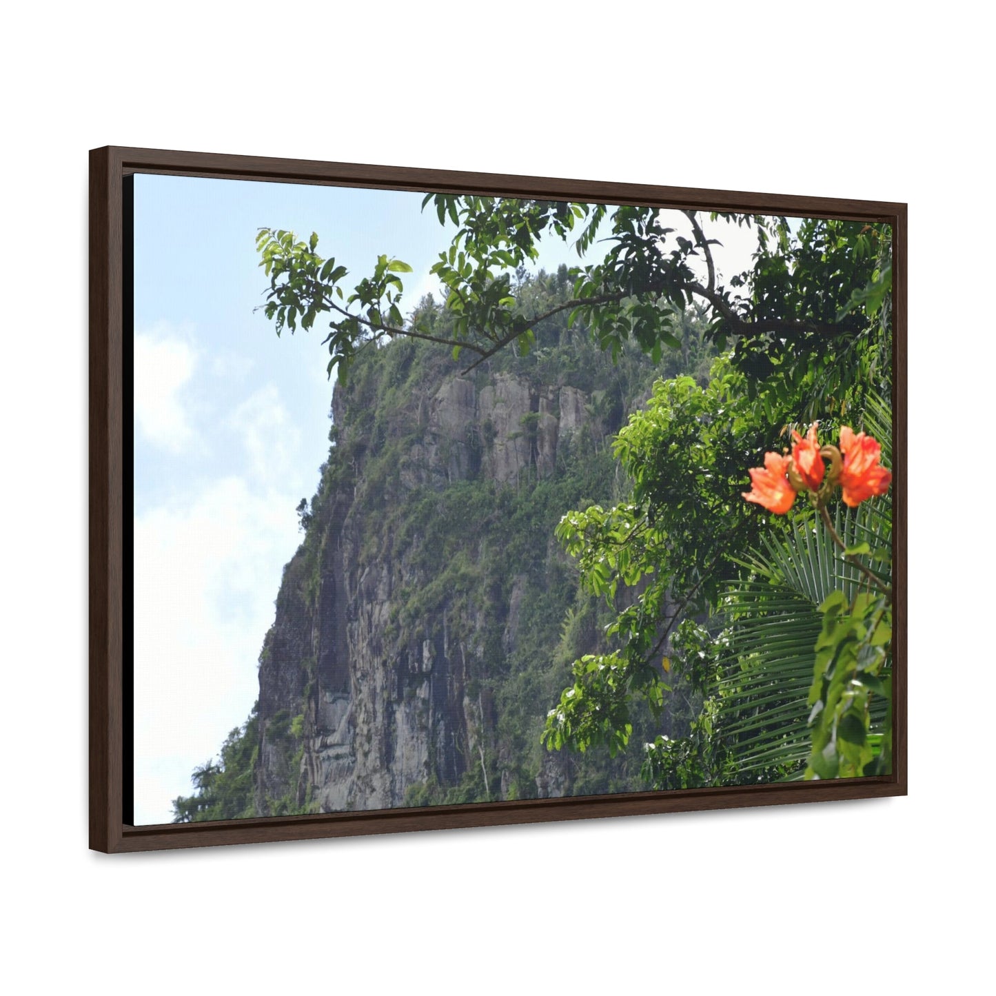 Rainforest Trails & Views - Gallery Canvas Wraps, Horizontal Frame - El Yunque National Forest - Puerto Rico - Peak blasted by Hurricane Maria in recovery - Green Forest Home