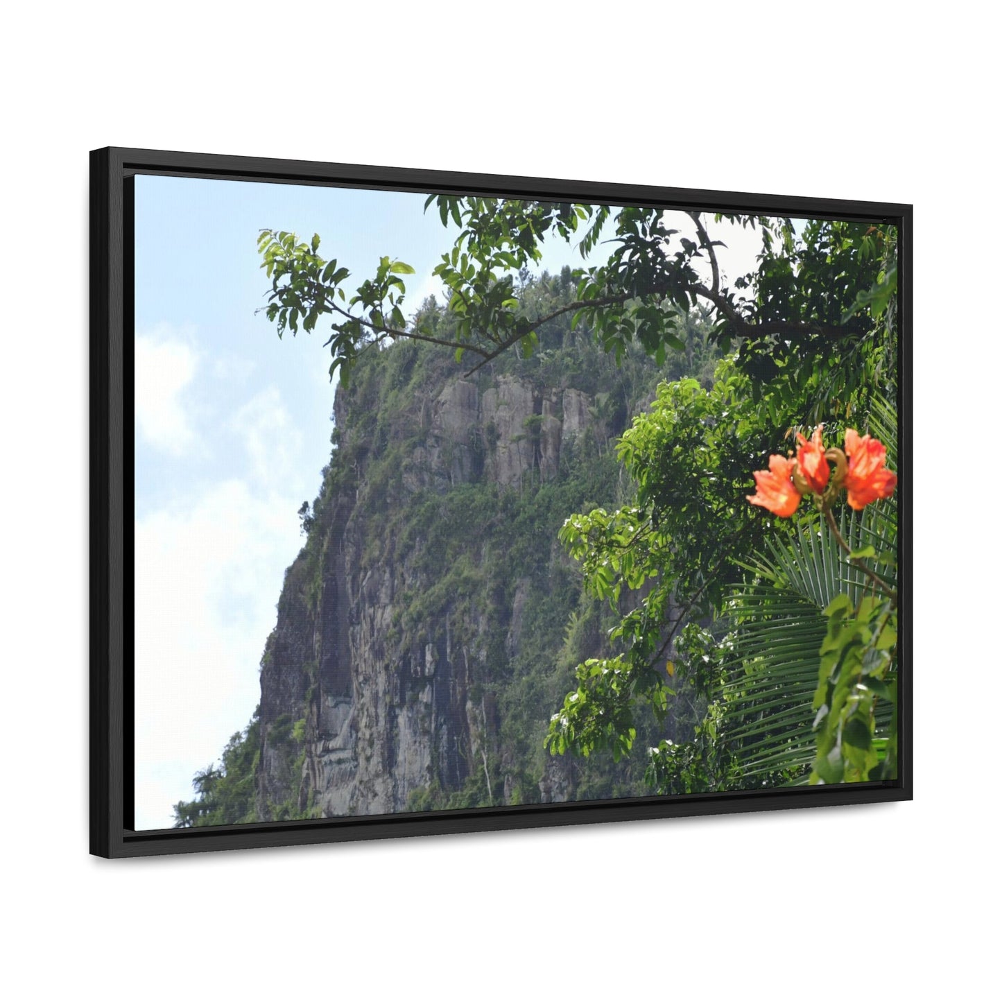 Rainforest Trails & Views - Gallery Canvas Wraps, Horizontal Frame - El Yunque National Forest - Puerto Rico - Peak blasted by Hurricane Maria in recovery - Green Forest Home
