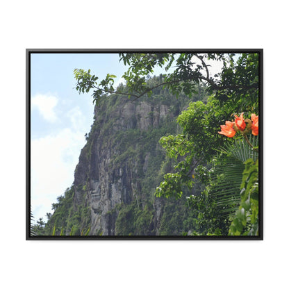 Rainforest Trails & Views - Gallery Canvas Wraps, Horizontal Frame - El Yunque National Forest - Puerto Rico - Peak blasted by Hurricane Maria in recovery - Green Forest Home