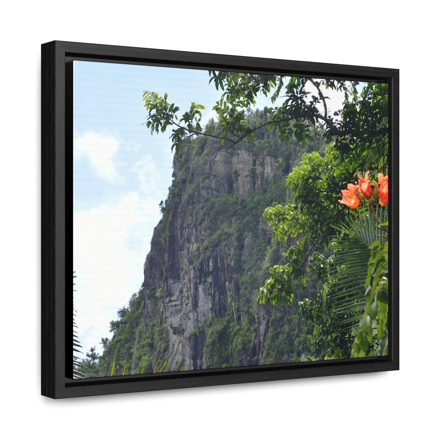 Rainforest Trails & Views - Gallery Canvas Wraps, Horizontal Frame - El Yunque National Forest - Puerto Rico - Peak blasted by Hurricane Maria in recovery - Green Forest Home