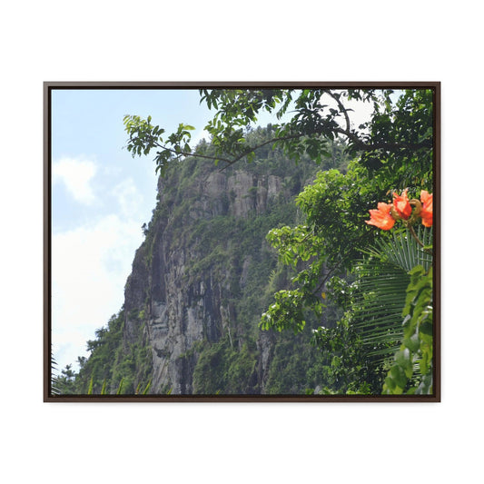 Rainforest Trails & Views - Gallery Canvas Wraps, Horizontal Frame - El Yunque National Forest - Puerto Rico - Peak blasted by Hurricane Maria in recovery - Green Forest Home