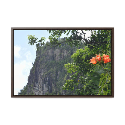 Rainforest Trails & Views - Gallery Canvas Wraps, Horizontal Frame - El Yunque National Forest - Puerto Rico - Peak blasted by Hurricane Maria in recovery - Green Forest Home
