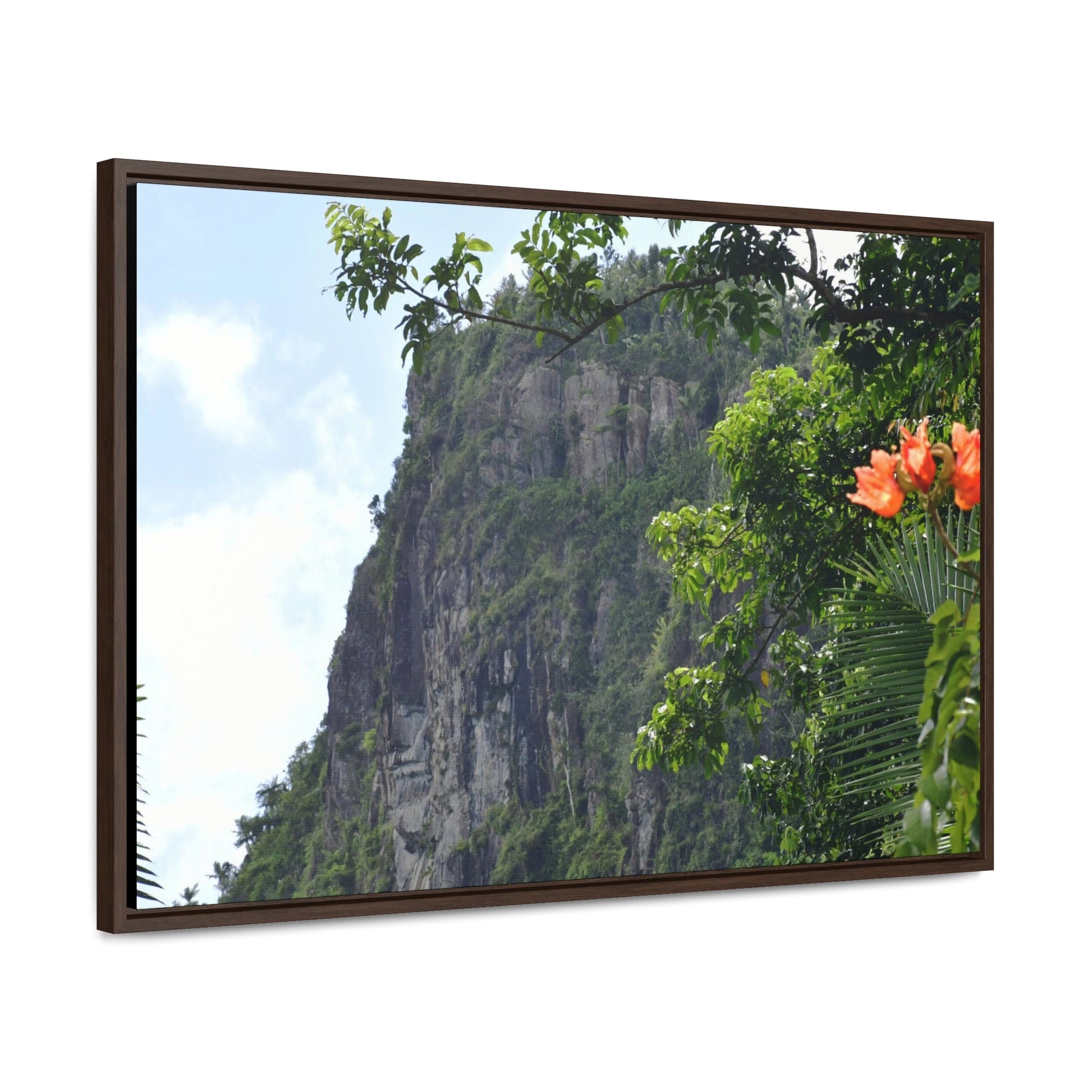 Rainforest Trails & Views - Gallery Canvas Wraps, Horizontal Frame - El Yunque National Forest - Puerto Rico - Peak blasted by Hurricane Maria in recovery - Green Forest Home