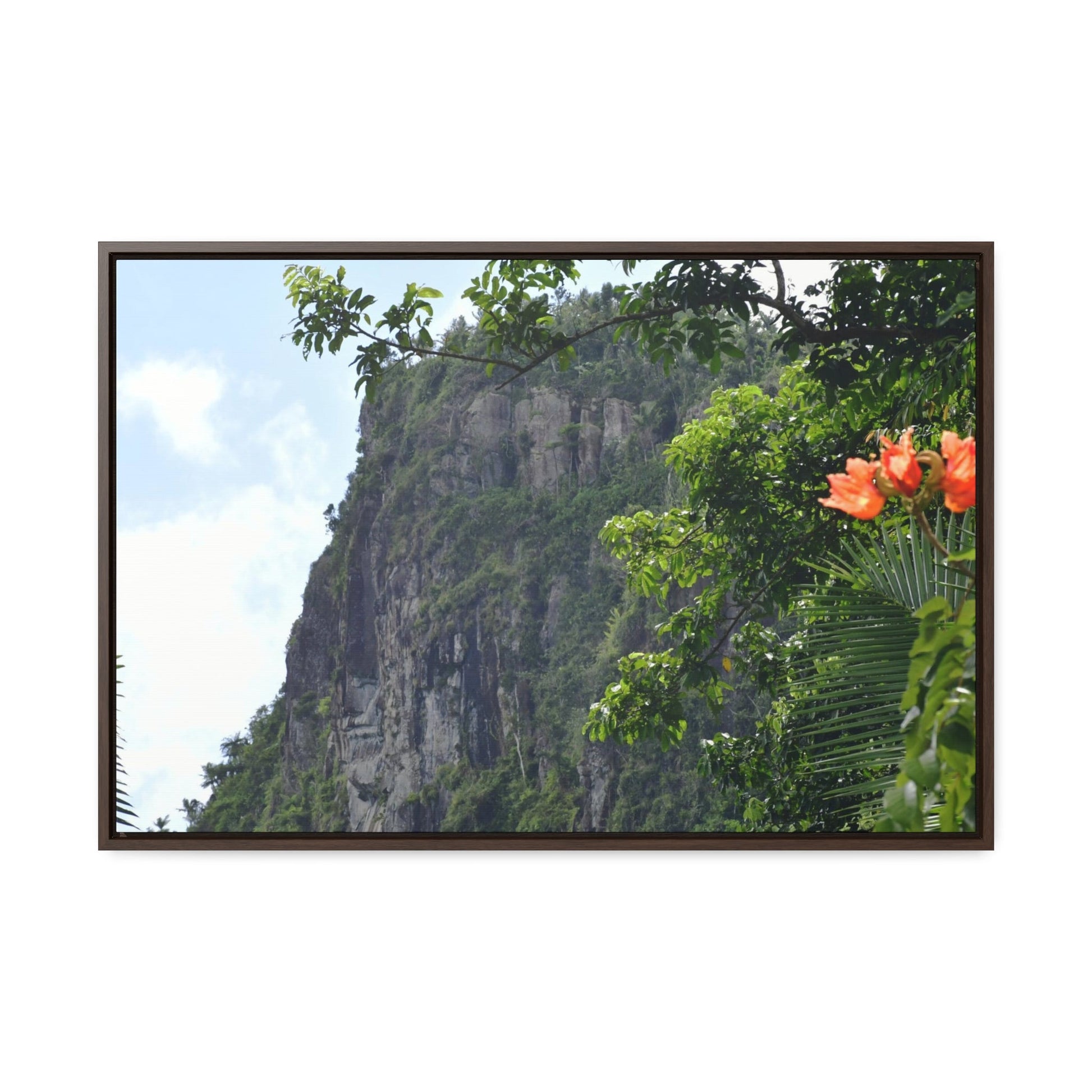 Rainforest Trails & Views - Gallery Canvas Wraps, Horizontal Frame - El Yunque National Forest - Puerto Rico - Peak blasted by Hurricane Maria in recovery - Green Forest Home