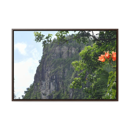 Rainforest Trails & Views - Gallery Canvas Wraps, Horizontal Frame - El Yunque National Forest - Puerto Rico - Peak blasted by Hurricane Maria in recovery - Green Forest Home