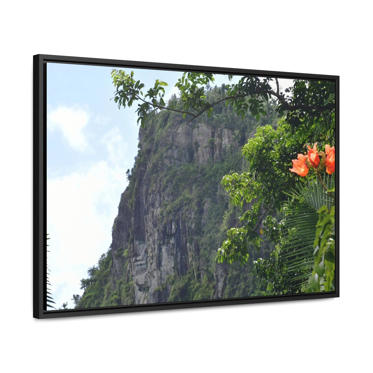 Rainforest Trails & Views - Gallery Canvas Wraps, Horizontal Frame - El Yunque National Forest - Puerto Rico - Peak blasted by Hurricane Maria in recovery - Green Forest Home