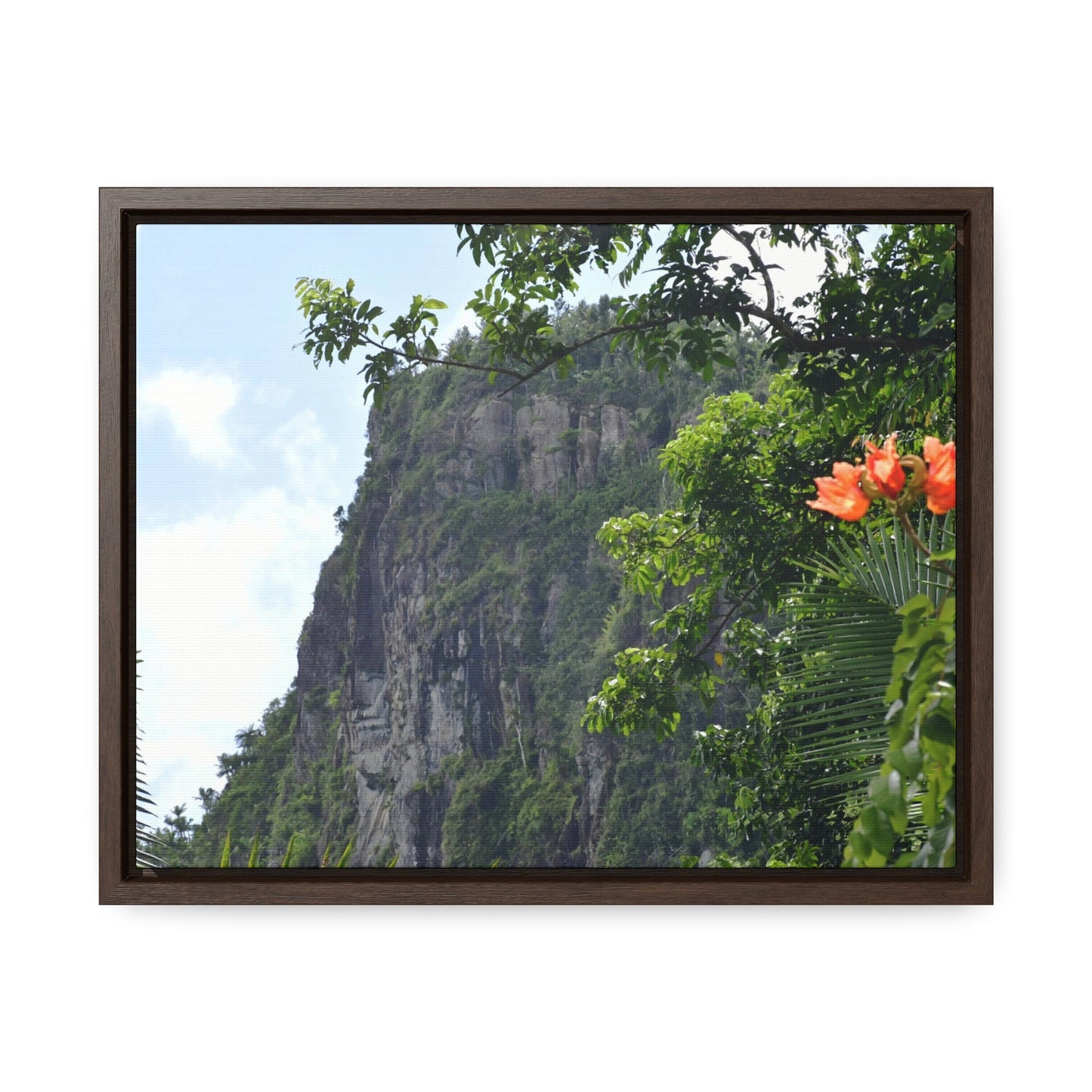 Rainforest Trails & Views - Gallery Canvas Wraps, Horizontal Frame - El Yunque National Forest - Puerto Rico - Peak blasted by Hurricane Maria in recovery - Green Forest Home
