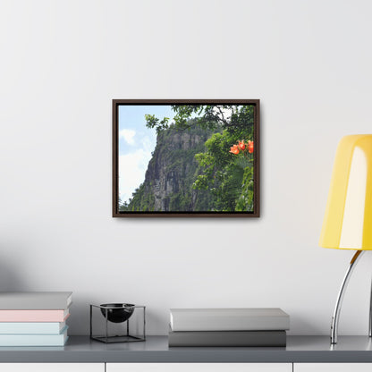 Rainforest Trails & Views - Gallery Canvas Wraps, Horizontal Frame - El Yunque National Forest - Puerto Rico - Peak blasted by Hurricane Maria in recovery - Green Forest Home