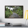 Rainforest Trails & Views - Gallery Canvas Wraps, Horizontal Frame - El Yunque National Forest - Puerto Rico - PR191 Closed forest road - Green Forest Home