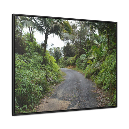 Rainforest Trails & Views - Gallery Canvas Wraps, Horizontal Frame - El Yunque National Forest - Puerto Rico - PR191 Closed forest road - Green Forest Home
