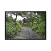 Rainforest Trails & Views - Gallery Canvas Wraps, Horizontal Frame - El Yunque National Forest - Puerto Rico - PR191 Closed forest road - Green Forest Home