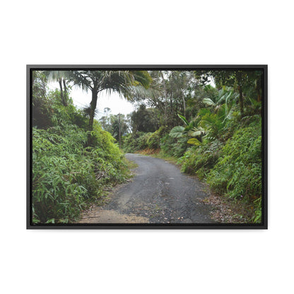 Rainforest Trails & Views - Gallery Canvas Wraps, Horizontal Frame - El Yunque National Forest - Puerto Rico - PR191 Closed forest road - Green Forest Home