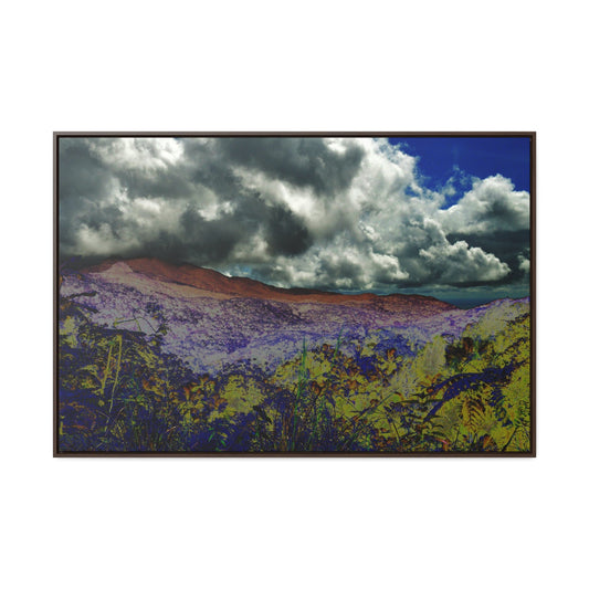 Rainforest Trails & Views - Gallery Canvas Wraps, Horizontal Frame - El Yunque National Forest - Puerto Rico - PR191 Closed forest road - Color Enhanced - Green Forest Home
