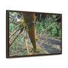 Rainforest Trails & Views - Gallery Canvas Wraps, Horizontal Frame - El Yunque National Forest - Puerto Rico - PR191 Closed forest road with fallend bamboo - Green Forest Home