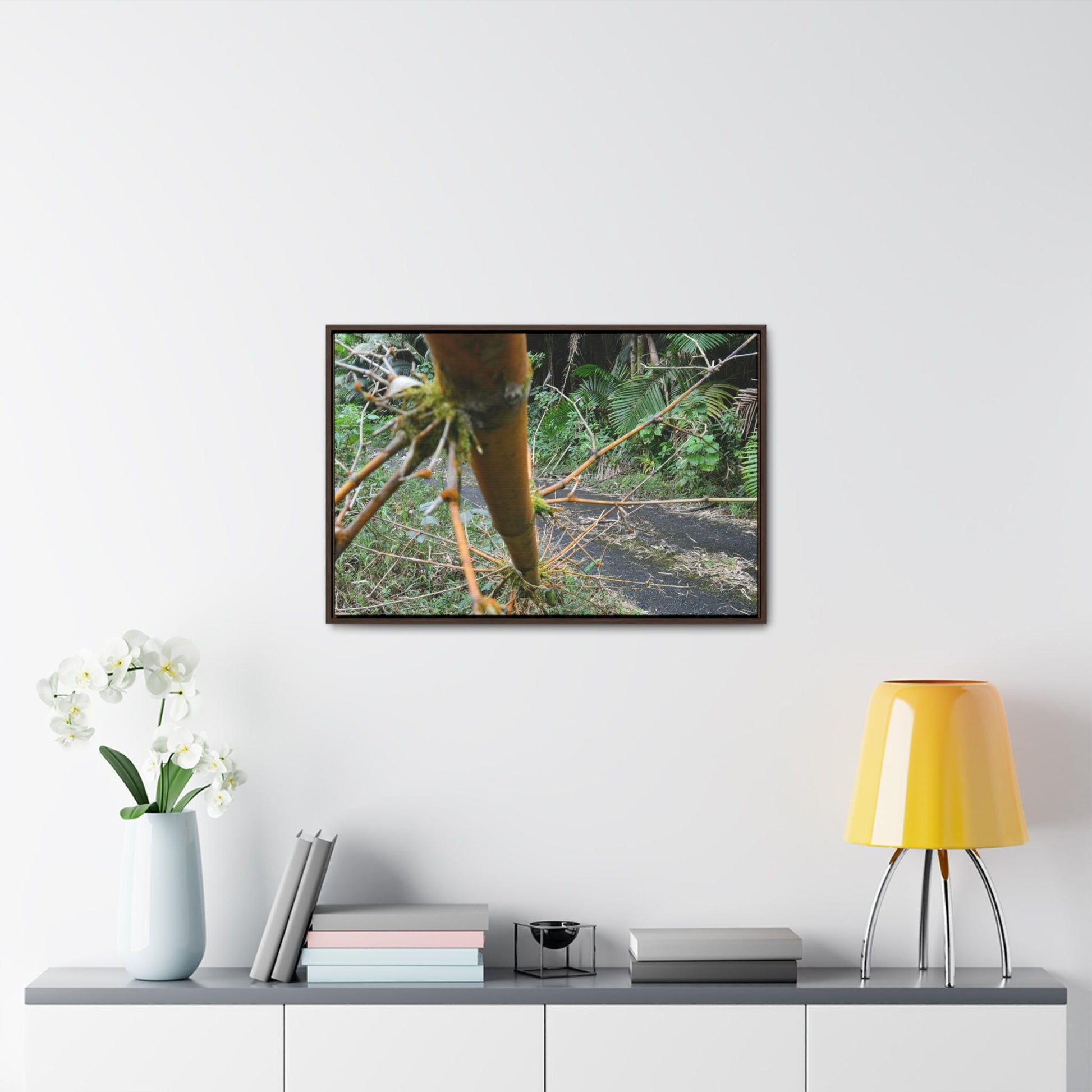 Rainforest Trails & Views - Gallery Canvas Wraps, Horizontal Frame - El Yunque National Forest - Puerto Rico - PR191 Closed forest road with fallend bamboo - Green Forest Home