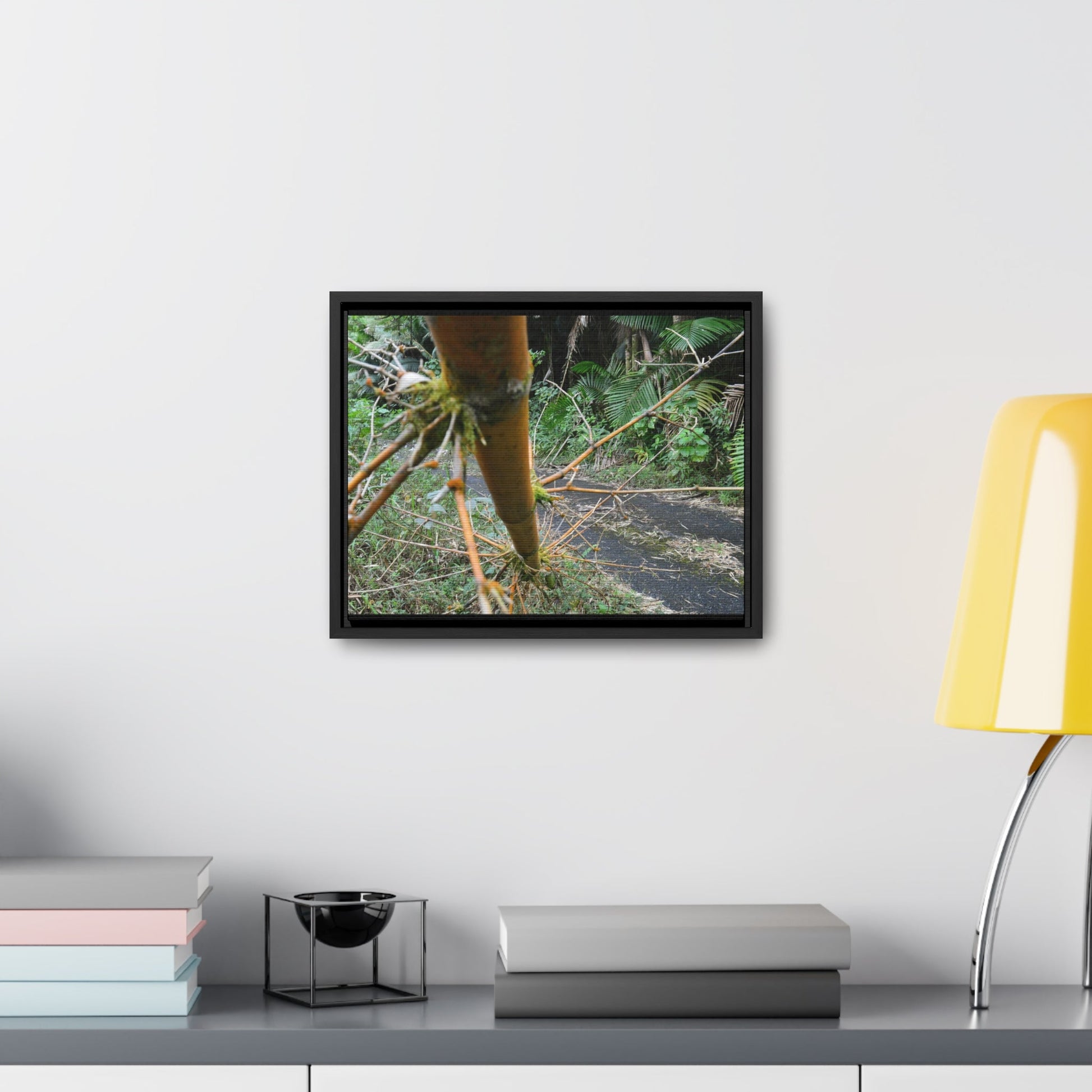 Rainforest Trails & Views - Gallery Canvas Wraps, Horizontal Frame - El Yunque National Forest - Puerto Rico - PR191 Closed forest road with fallend bamboo - Green Forest Home