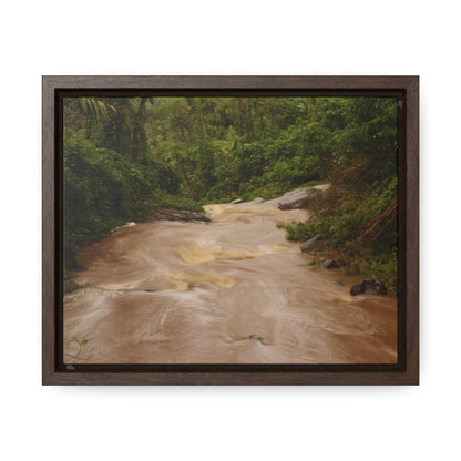 Rainforest Trails & Views - Gallery Canvas Wraps, Horizontal Frame - El Yunque National Forest - Puerto Rico - PR191 Muddy Flooded Rio Sabana - Green Forest Home