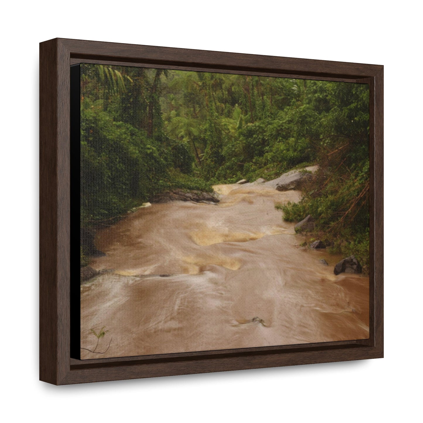 Rainforest Trails & Views - Gallery Canvas Wraps, Horizontal Frame - El Yunque National Forest - Puerto Rico - PR191 Muddy Flooded Rio Sabana - Green Forest Home