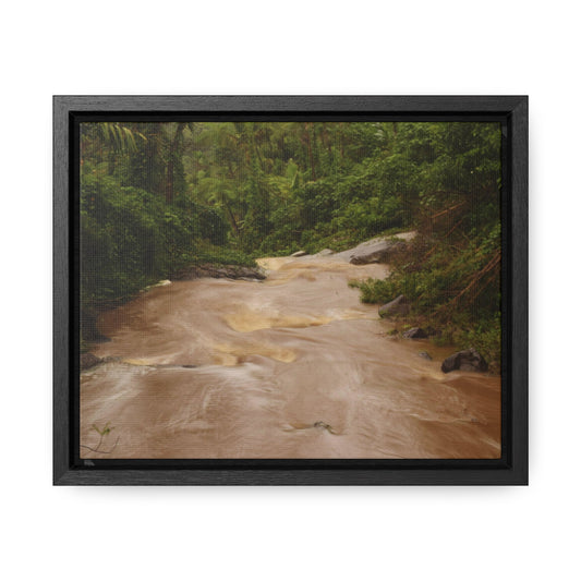 Rainforest Trails & Views - Gallery Canvas Wraps, Horizontal Frame - El Yunque National Forest - Puerto Rico - PR191 Muddy Flooded Rio Sabana - Green Forest Home