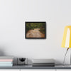 Rainforest Trails & Views - Gallery Canvas Wraps, Horizontal Frame - El Yunque National Forest - Puerto Rico - PR191 Muddy Flooded Rio Sabana - Green Forest Home
