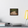 Rainforest Trails & Views - Gallery Canvas Wraps, Horizontal Frame - El Yunque National Forest - Puerto Rico - PR191 Muddy Flooded Rio Sabana - Green Forest Home
