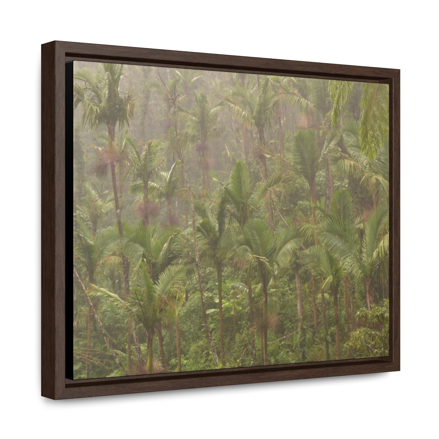 Rainforest Trails & Views - Gallery Canvas Wraps, Horizontal Frame - El Yunque National Forest - Puerto Rico - PR191 Rio Sabana Massive Rain - Over 180 Inches/year - Green Forest Home