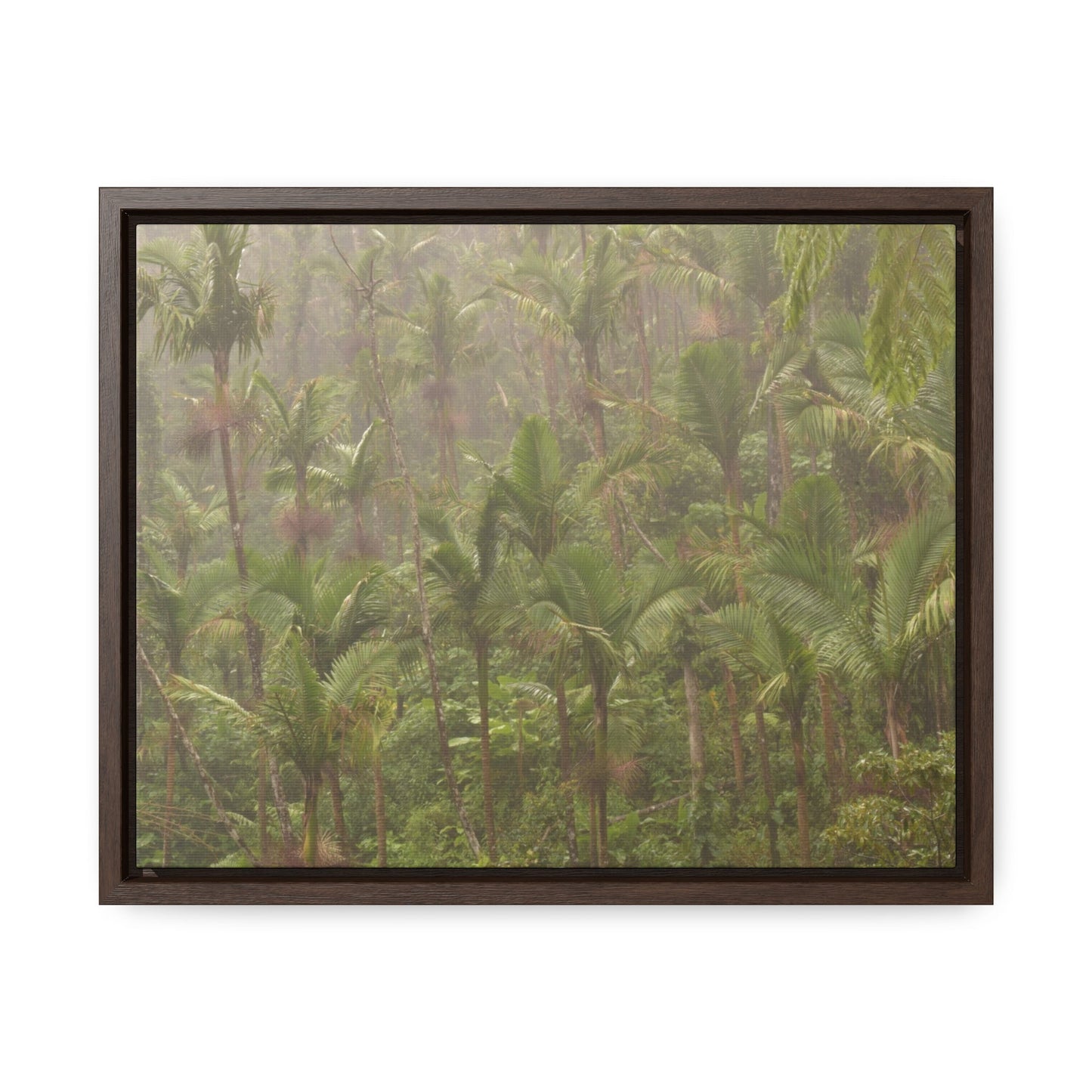 Rainforest Trails & Views - Gallery Canvas Wraps, Horizontal Frame - El Yunque National Forest - Puerto Rico - PR191 Rio Sabana Massive Rain - Over 180 Inches/year - Green Forest Home