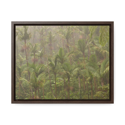 Rainforest Trails & Views - Gallery Canvas Wraps, Horizontal Frame - El Yunque National Forest - Puerto Rico - PR191 Rio Sabana Massive Rain - Over 180 Inches/year - Green Forest Home