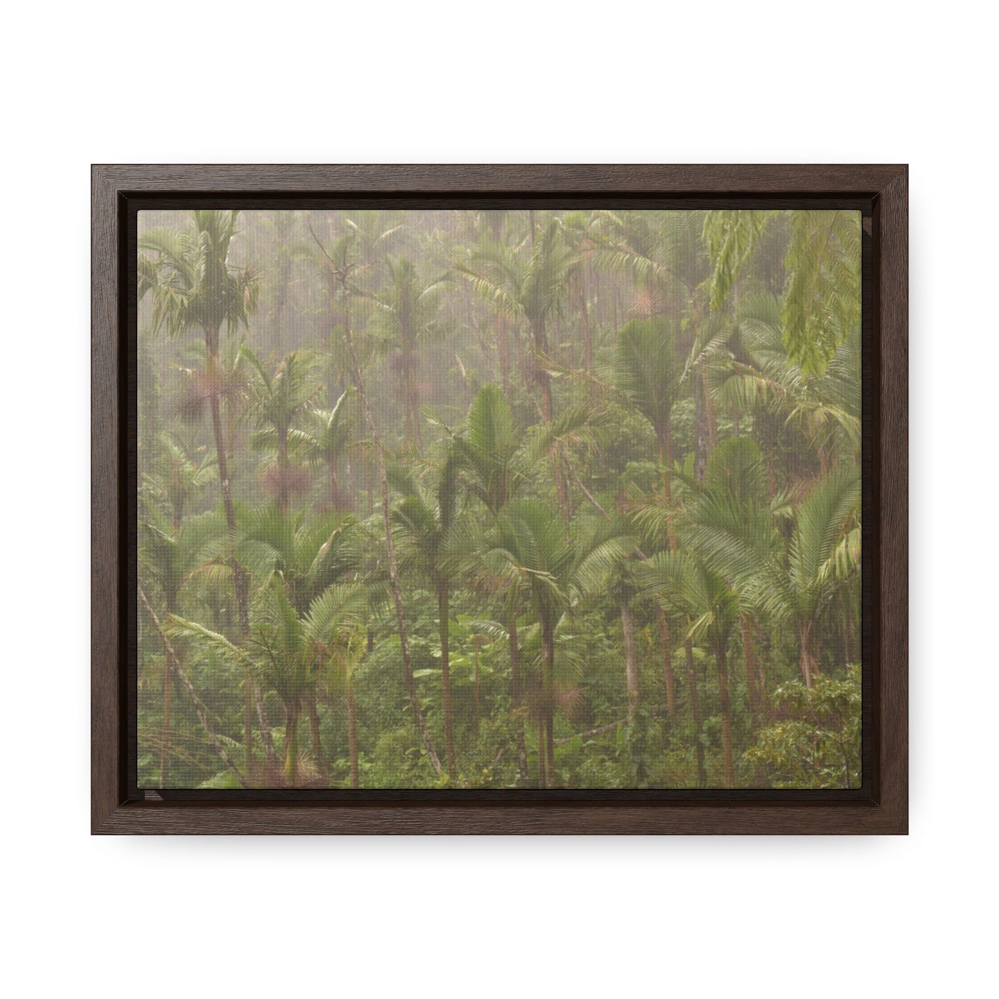 Rainforest Trails & Views - Gallery Canvas Wraps, Horizontal Frame - El Yunque National Forest - Puerto Rico - PR191 Rio Sabana Massive Rain - Over 180 Inches/year - Green Forest Home