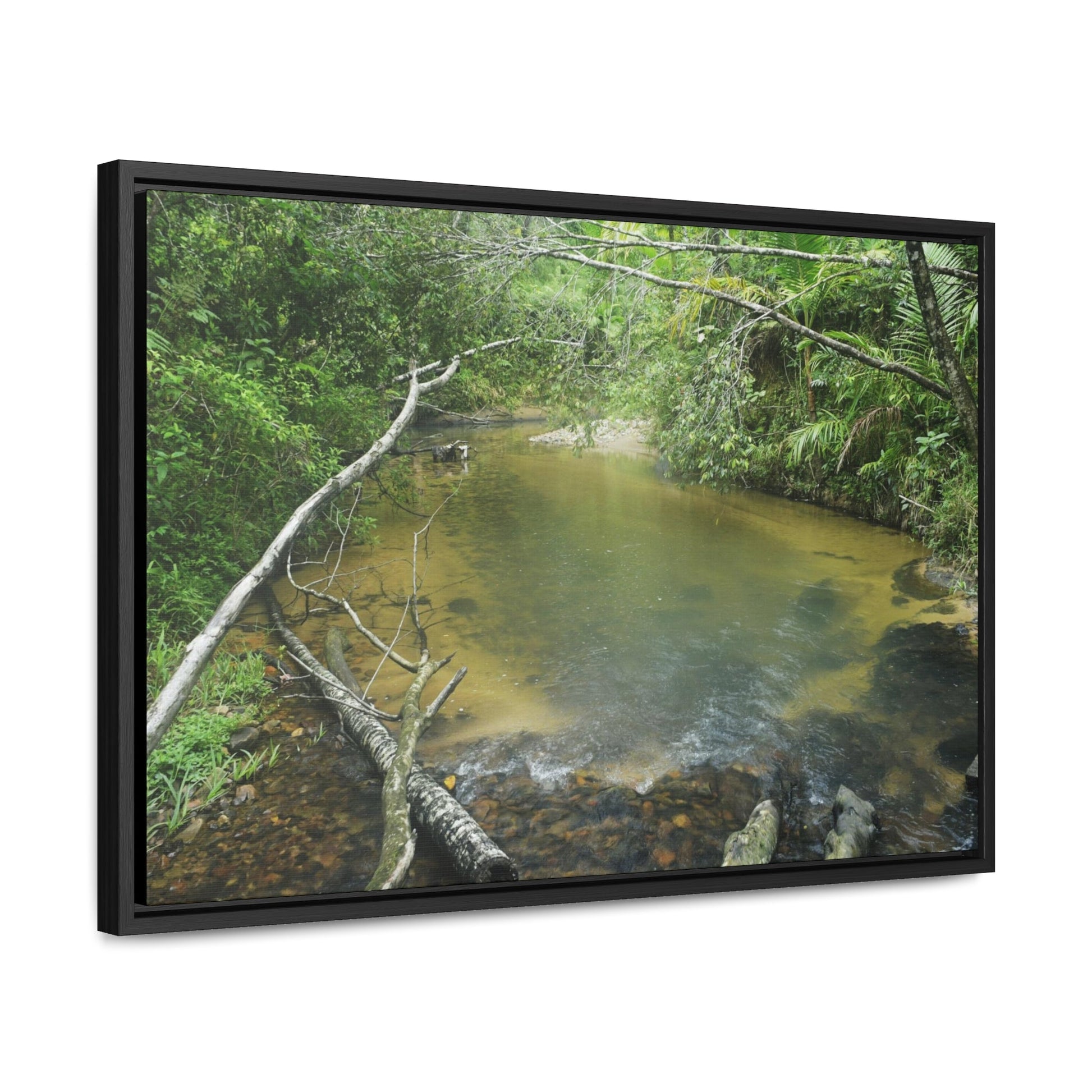 Rainforest Trails & Views - Gallery Canvas Wraps, Horizontal Frame - El Yunque National Forest - Puerto Rico - Pristine Rio Sabana upper river - Green Forest Home
